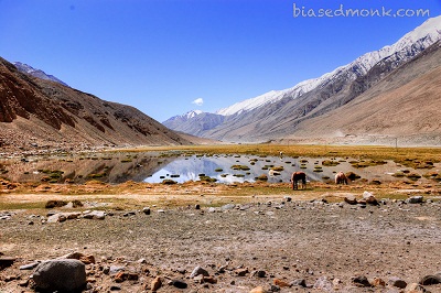 ladakh valley